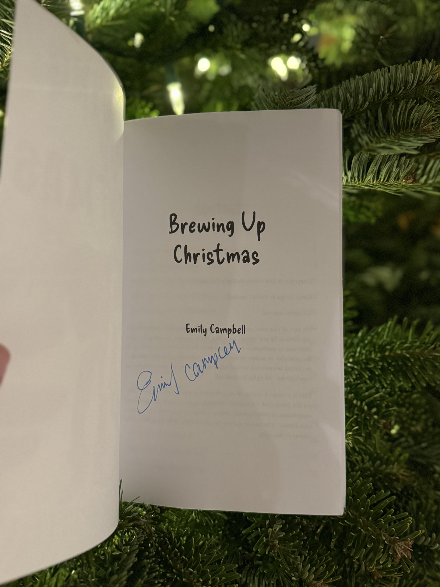 Brewing Up Christmas